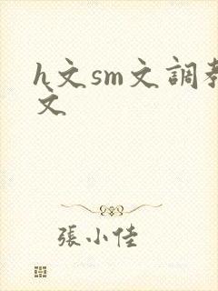 h文sm文调教文