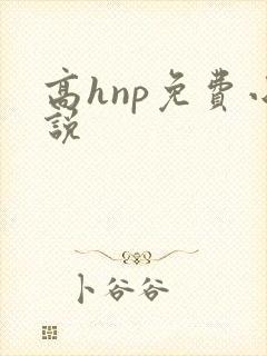 高hnp免费小说