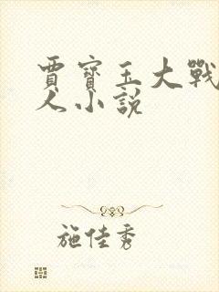 贾宝玉大战王夫人小说