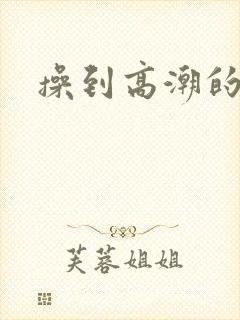 操到高潮的小说封面