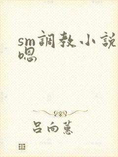 sm调教小说嗯嗯封面