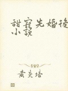 甜宠先婚后爱的小说封面