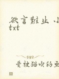 欲言难止 小说txt