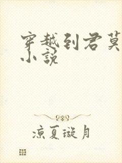 穿越到君莫邪的小说