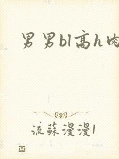 男男bl高h肉