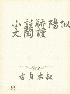 小说骄阳似我全文阅读