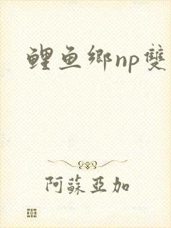 鲤鱼乡np双性