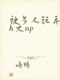 被多人玩弄调教h文np