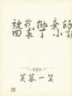 被我抛弃的前夫回来了 小说