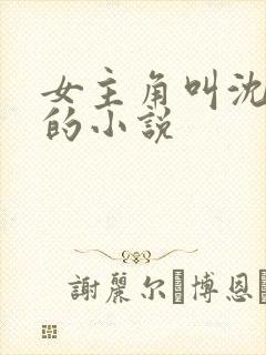 女主角叫沈初夏的小说