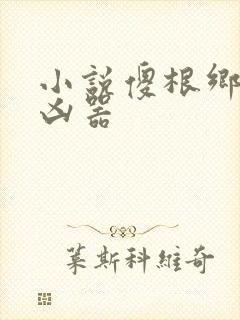 小说傻根乡村大凶器