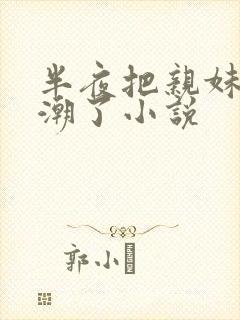 半夜把亲妹妹高潮了小说封面