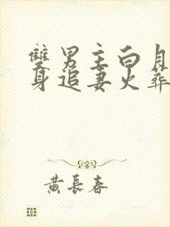 双男主白月光替身追妻火葬场