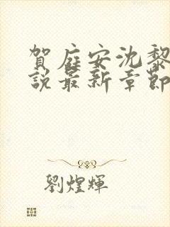 贺庭安沈黎初小说最新章节更新内容