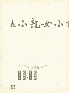 h小龙女小说