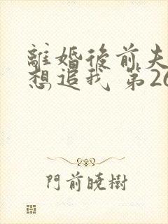 离婚后前夫总是想追我 第260章