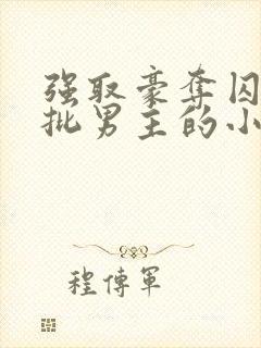 强取豪夺囚禁疯批男主的小说