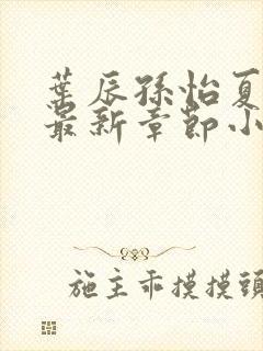 叶辰孙怡夏若雪最新章节小说