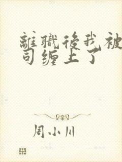 离职后我被前上司缠上了