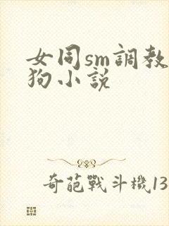 女同sm调教母狗小说