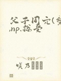 父子同穴(双性,np.总受