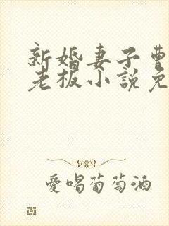 新婚妻子曹仁菜老板小说免费阅读封面