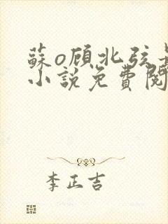 苏o顾北弦最新小说免费阅读