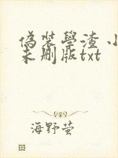 伪装学渣 小说未删版txt