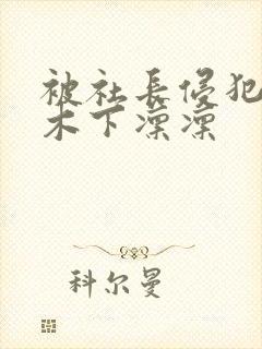 被社长侵犯人妻木下凛凛封面