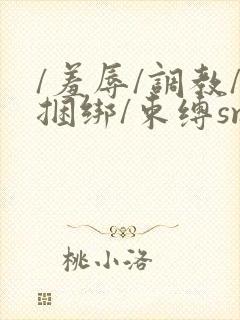 /羞辱/调教/捆绑/束缚sm男男