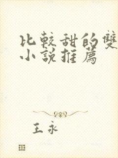 比较甜的双男主小说推荐封面