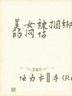 美女被捆绑调教的网站