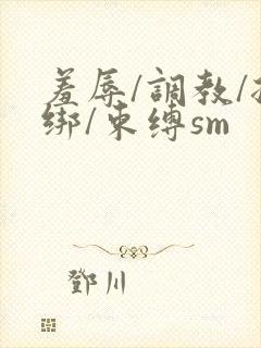 羞辱/调教/捆绑/束缚sm