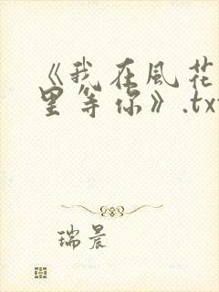 《我在风花雪月里等你》.txt