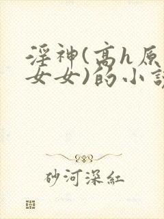 淫神(高h原神女女)的小说