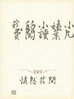 我的小姨小说免费阅读叶凡