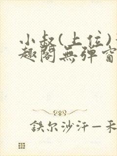 小叔(上位)笔趣阁无弹窗免费阅读封面