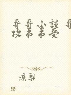 哥哥小说 哥哥攻弟弟受