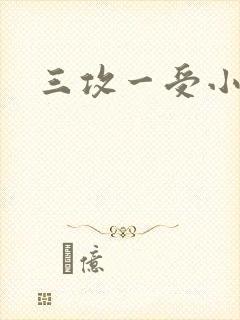 三攻一受小说封面