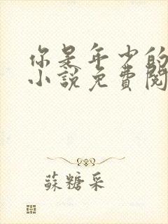 你是年少的欢喜小说免费阅读