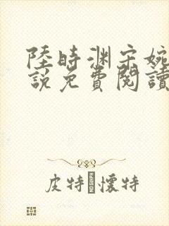 陆时渊宋婉婷小说免费阅读最新章节