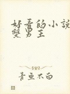 好看的小说推荐双男主封面