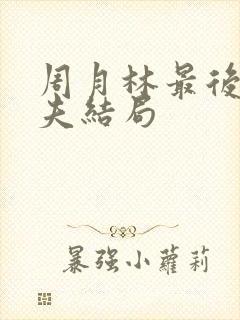 周月林最后的丈夫结局封面