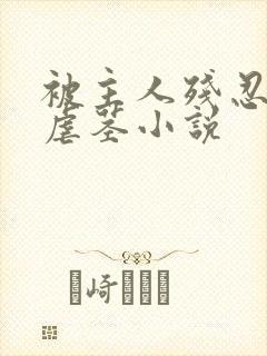 被主人残忍调教虐茎小说封面