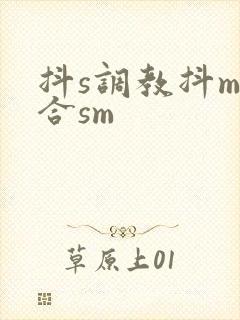 抖s调教抖m百合sm