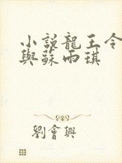 小说龙王令陈平与苏雨琪封面