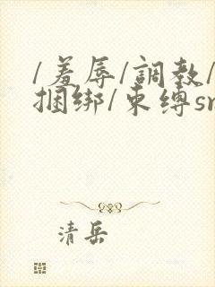 /羞辱/调教/捆绑/束缚sm男男