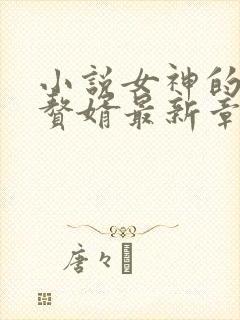 小说女神的超级赘婿最新章节