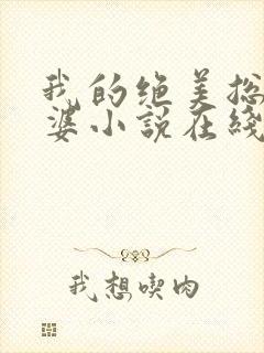 我的绝美总裁老婆小说在线阅读