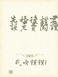 先婚后甜君莱小说免费阅读封面